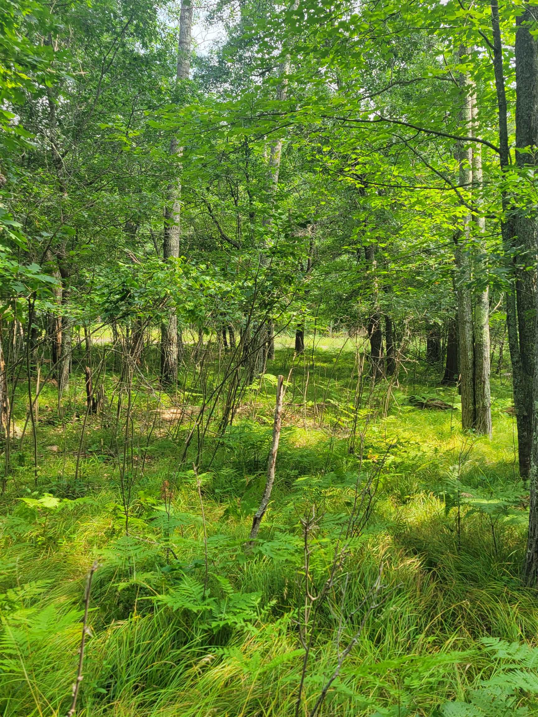 Thorn Lake Loop, Unit 25 Gordon, WI 54838 - Photo 8 of 12