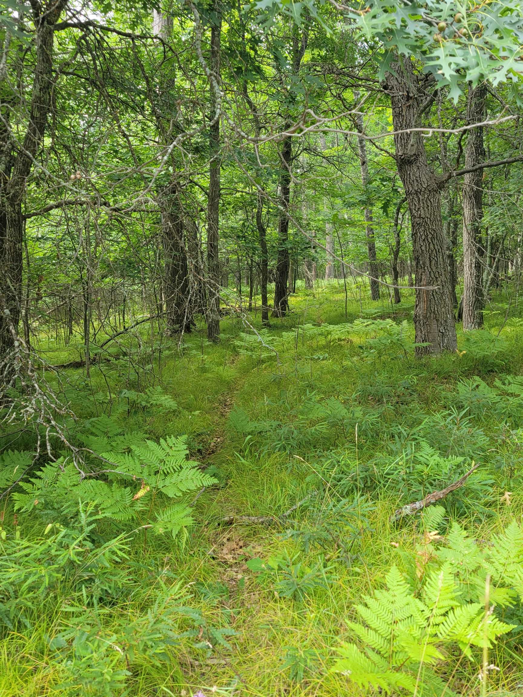 Thorn Lake Loop, Unit 25 Gordon, WI 54838 - Photo 9 of 12