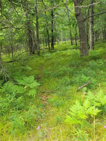 $30,000 | Thorn Lake Loop, Unit 25, Gordon, WI 54838