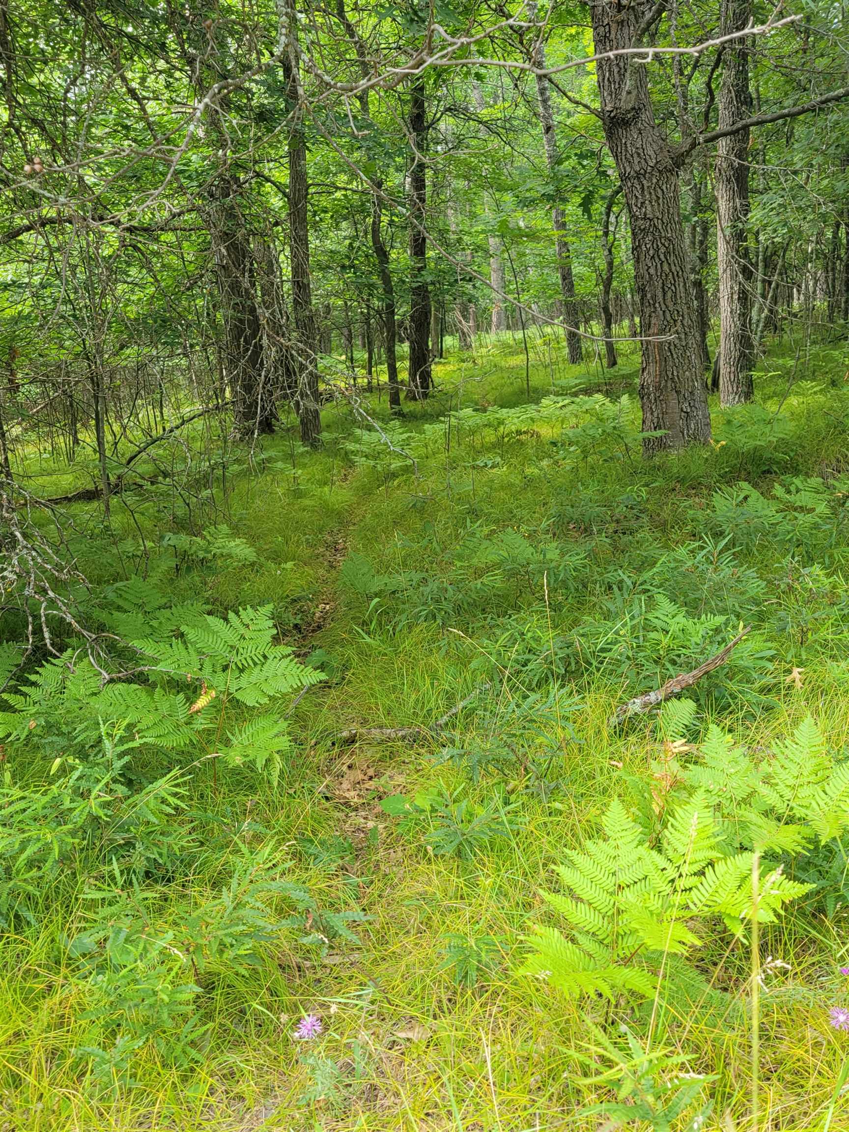 Thorn Lake Loop, Unit 25 Gordon, WI 54838 - Photo 10 of 12