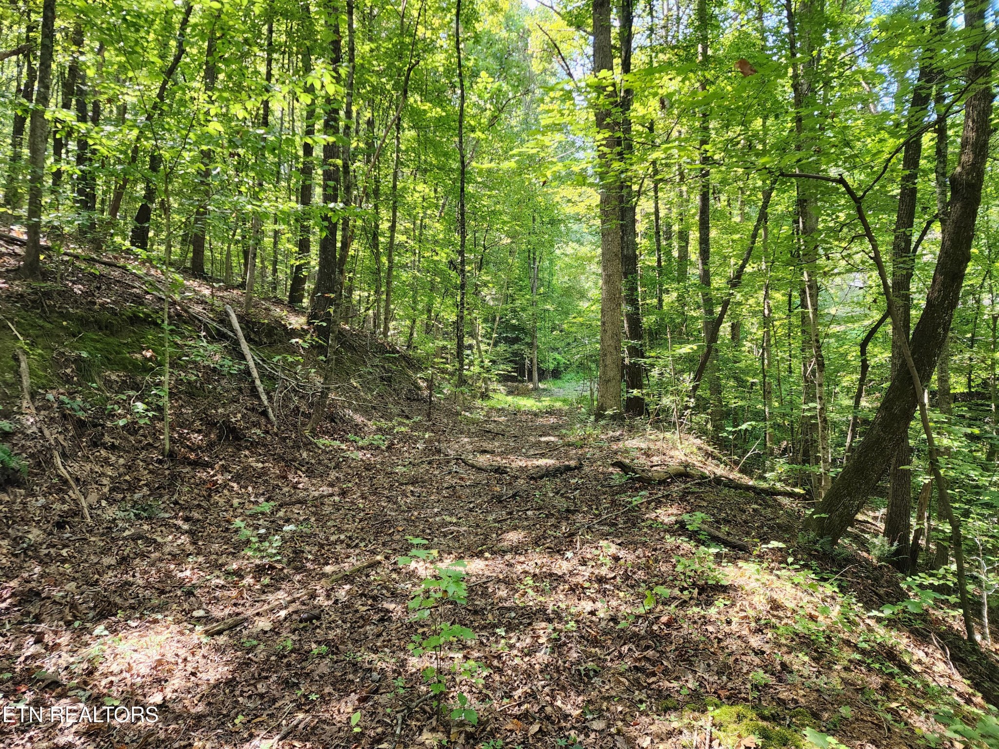1843 Ruritan Road Harriman, TN 37748 - Photo 14 of 25 Gallery Image 14