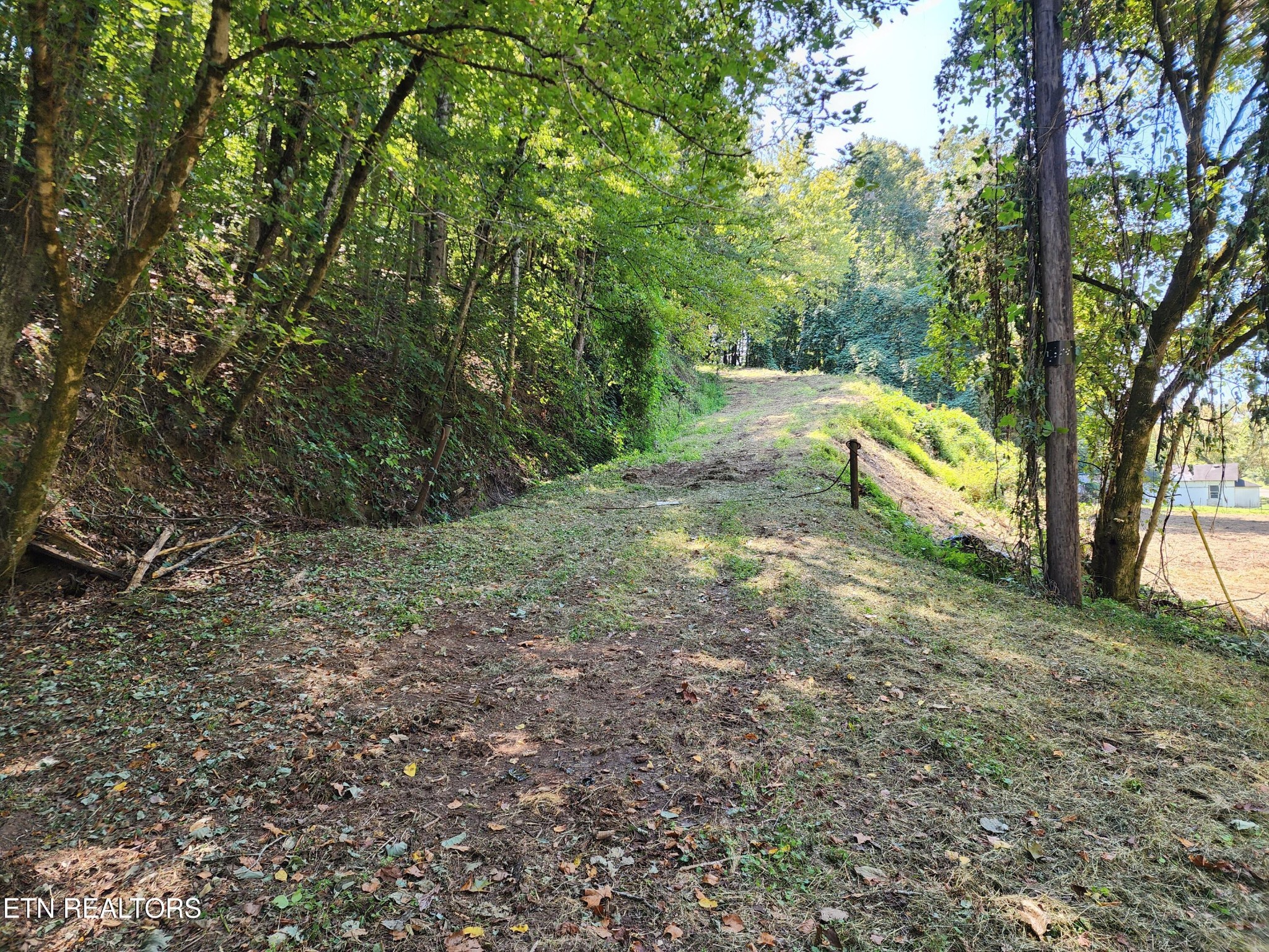 1843 Ruritan Road Harriman, TN 37748 - Photo 7 of 25 Gallery Image 7