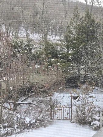 $210,000 | 3134 Fay Brook Road, Sharon, VT 05065