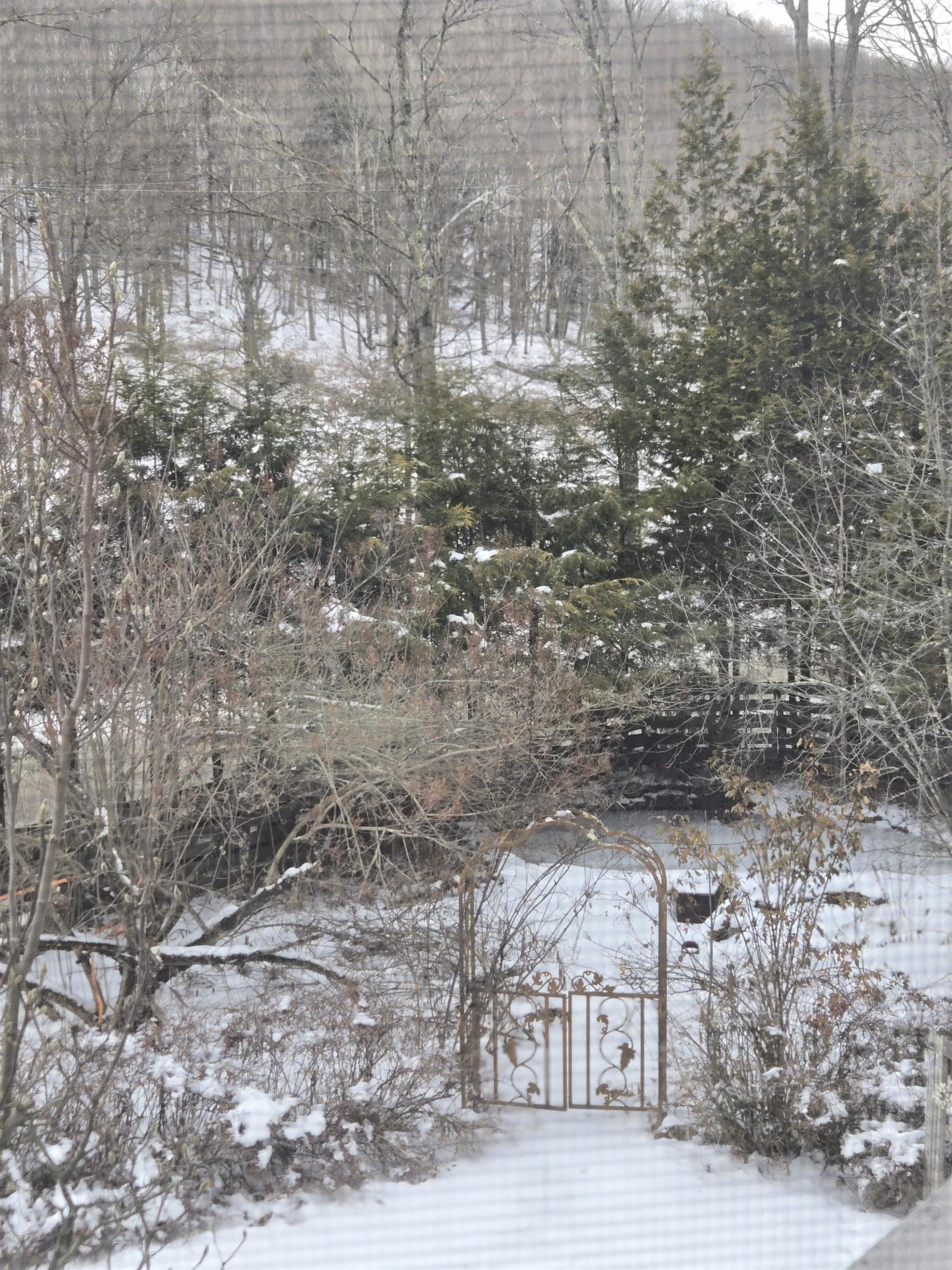 3134 Fay Brook Road Sharon, VT 05065 - Photo 16 of 29