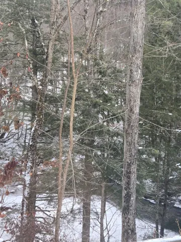 $210,000 | 3134 Fay Brook Road, Sharon, VT 05065