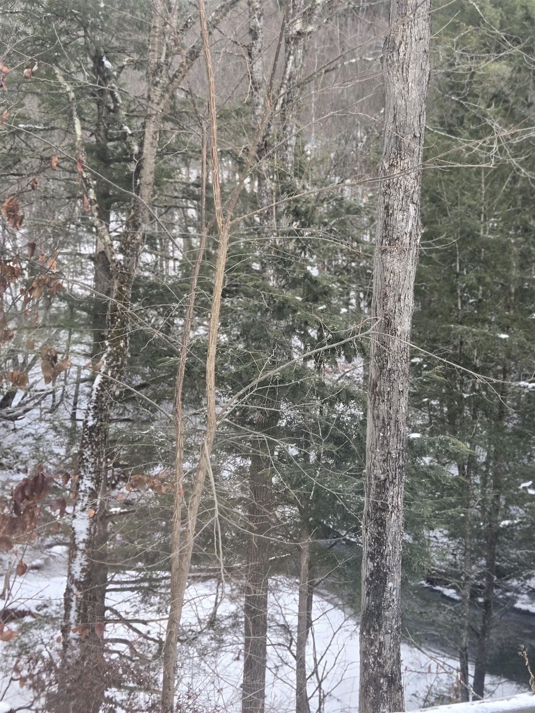 3134 Fay Brook Road Sharon, VT 05065 - Photo 17 of 29