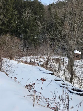 $210,000 | 3134 Fay Brook Road, Sharon, VT 05065