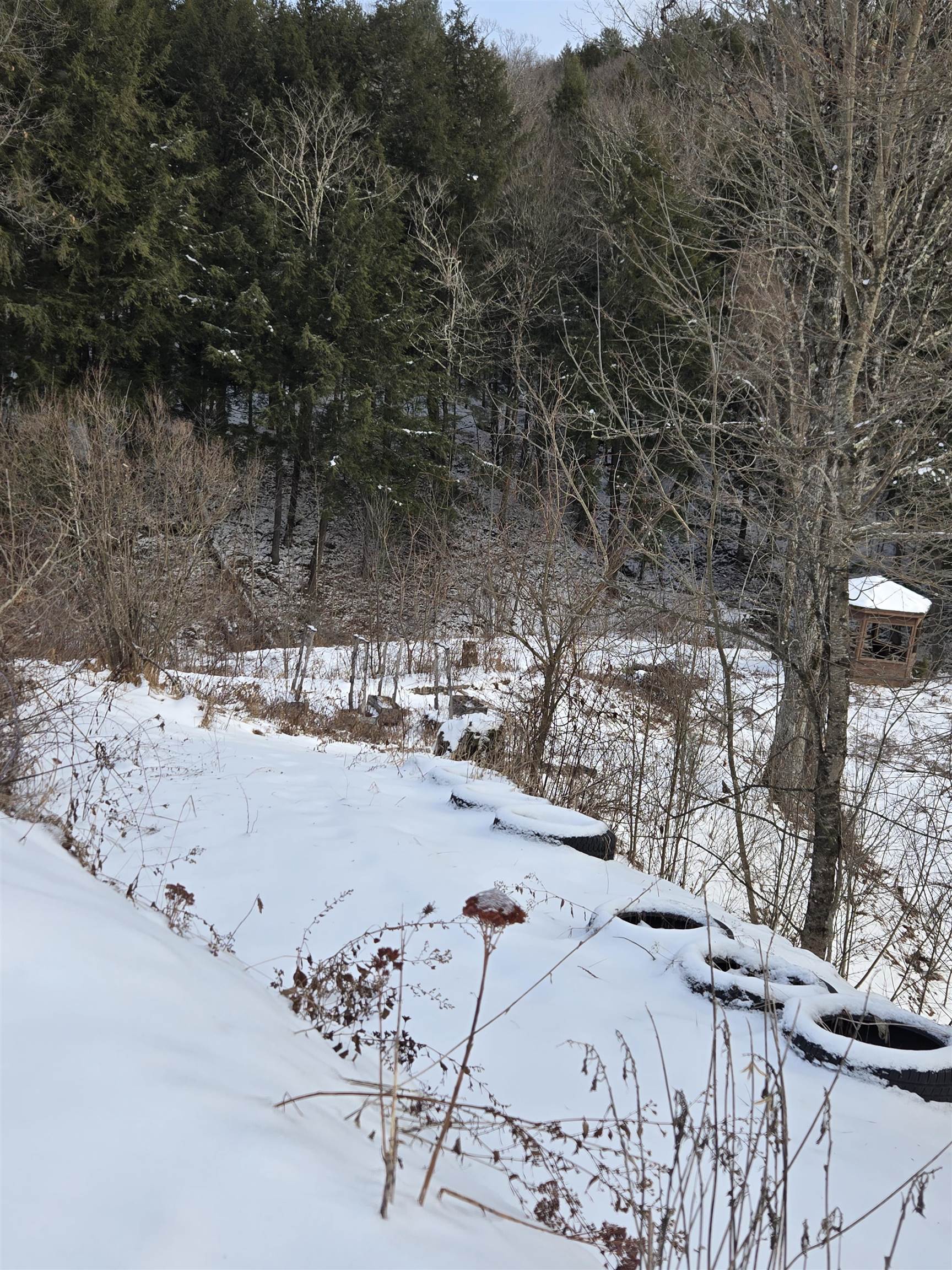 3134 Fay Brook Road Sharon, VT 05065 - Photo 27 of 29