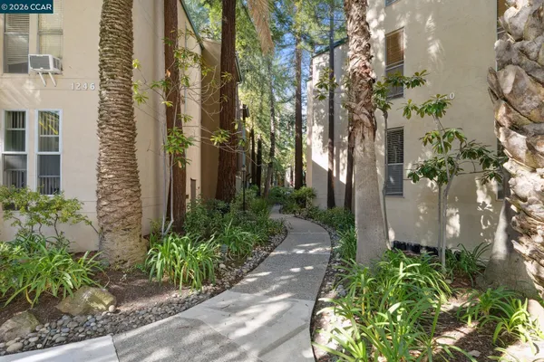 a view of a pathway with flower plants