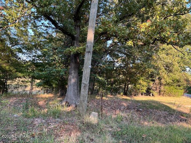 5259 Highway 104 Lavinia, TN 38348 - Photo 8 of 10 IMG_1125