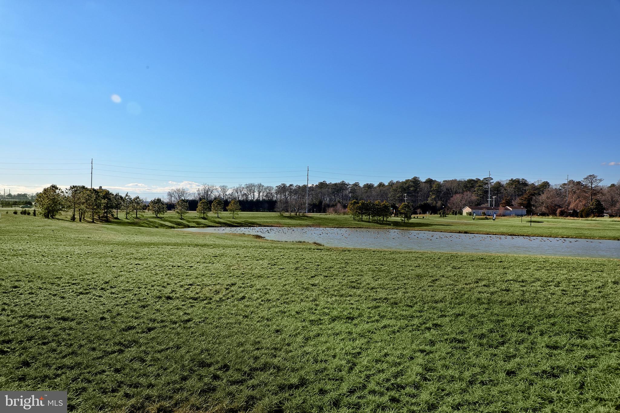 7326 Clubhouse Drive Milford, DE 19963 - Photo 23 of 23