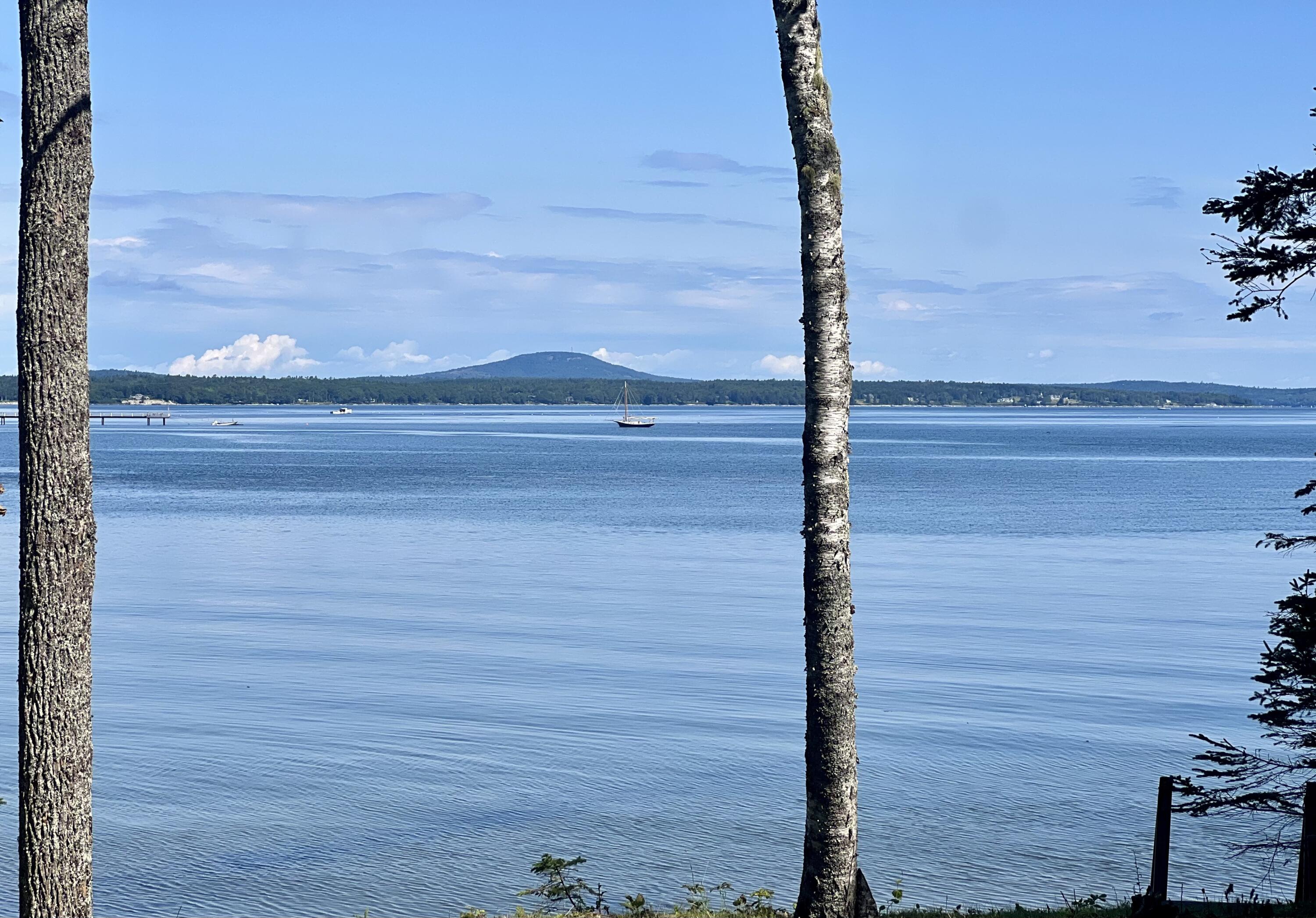 325 Harriman Point Road Brooklin, ME 04616 - Photo 2 of 36 IMG_2170