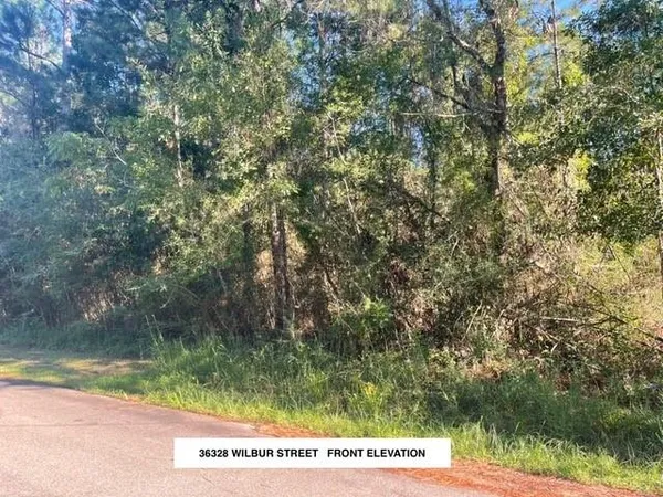 $24,000 | 36328 Wilbur Street, Slidell, LA 70460