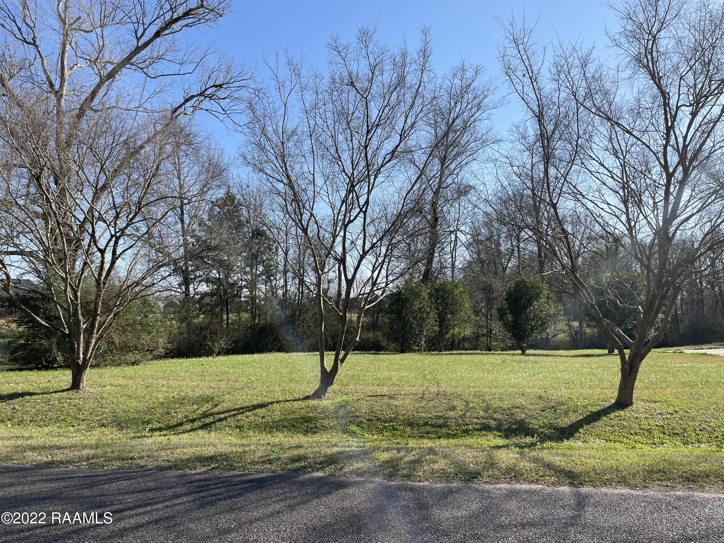 Tbd Rue Katherine Opelousas, LA 70570 - Photo 8 of 11 Gallery Image 8
