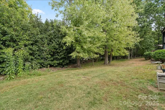 a view of a yard with a tree