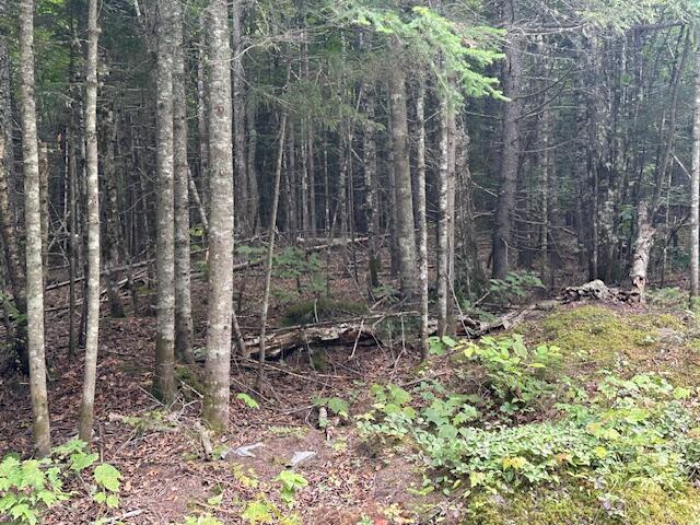 Lot 63 Rum Ridge Road Greenville, ME 04441 - Photo 2 of 22 image15