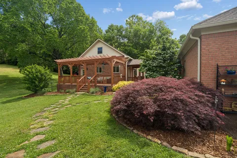 a view of a trees with a yard