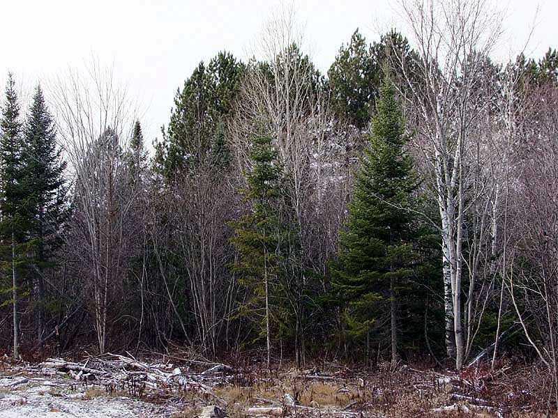 Lot 7 Lake Road Monticello, ME 04760 - Photo 14 of 21 Land.
