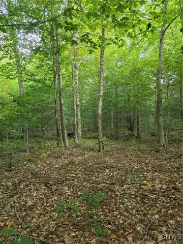 $49,000 | Woodland Lane, Altmar, NY 13302