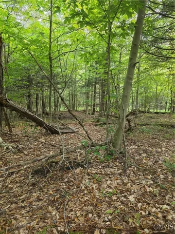 $49,000 | Woodland Lane, Altmar, NY 13302