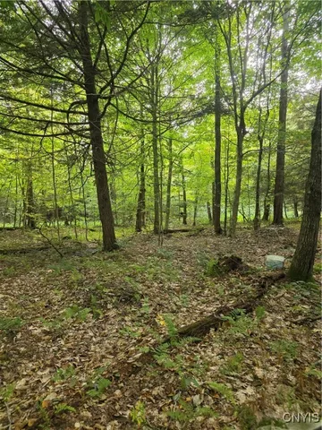 $49,000 | Woodland Lane, Altmar, NY 13302