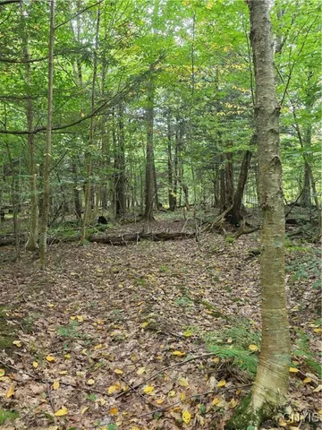 $49,000 | Woodland Lane, Altmar, NY 13302