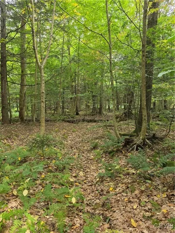 $49,000 | Woodland Lane, Altmar, NY 13302