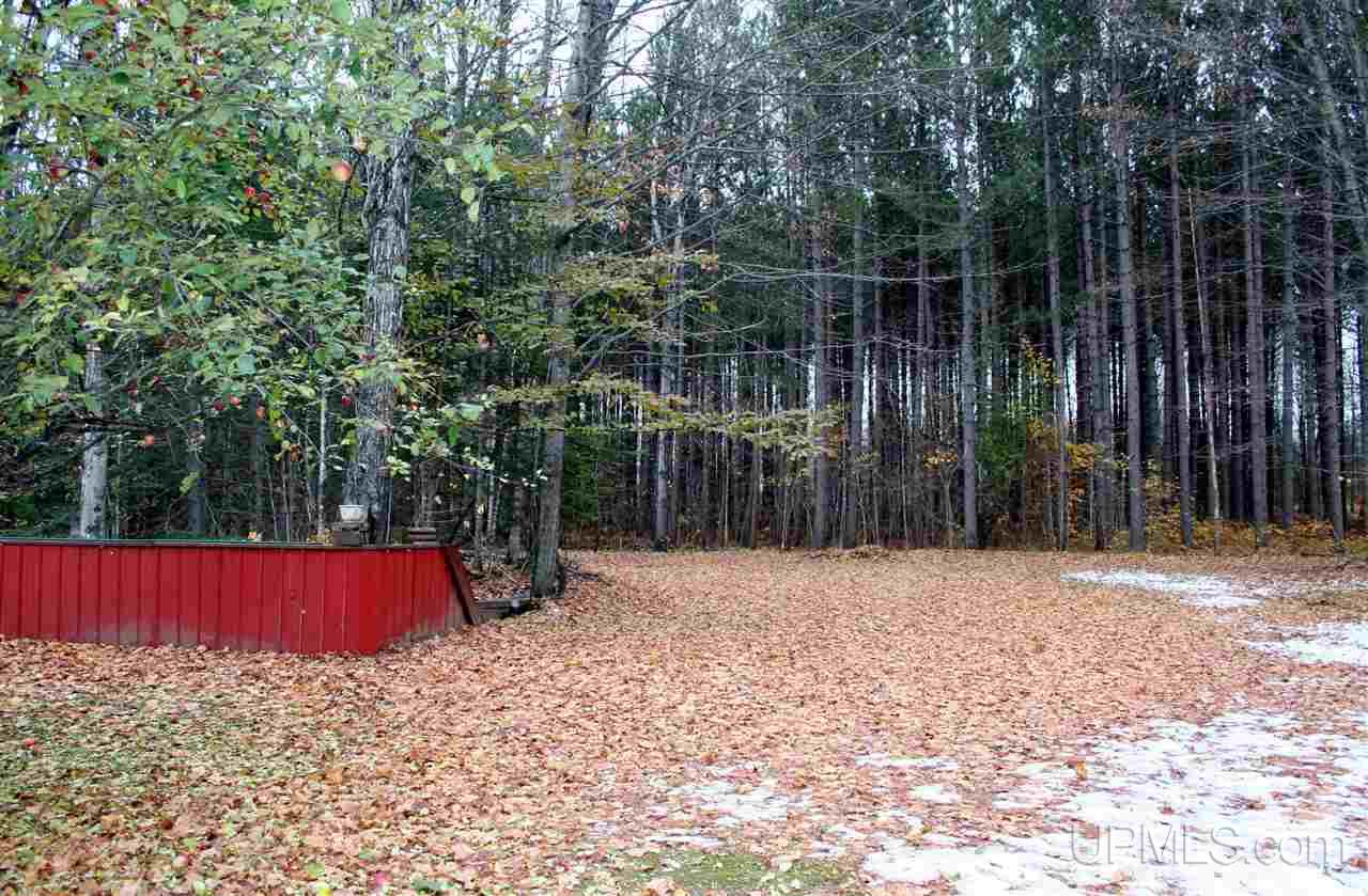 N7202 Olson Road Shingleton, MI 49884 - Photo 18 of 25