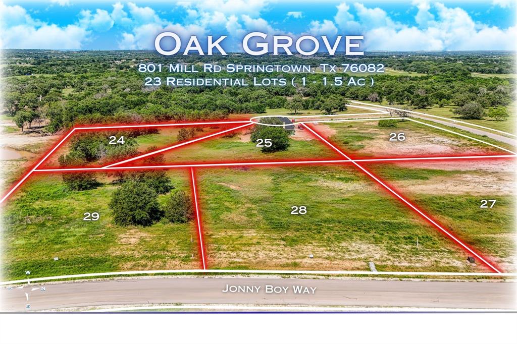 308 Jonny Boy Way Springtown, TX 76082 - Photo 9 of 9
