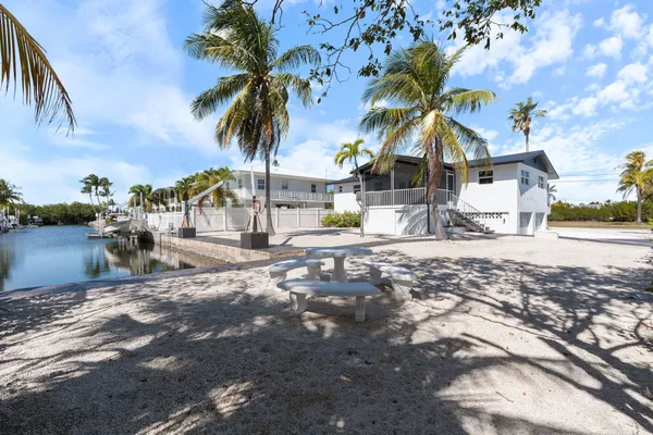a view of a water pond with palm trees