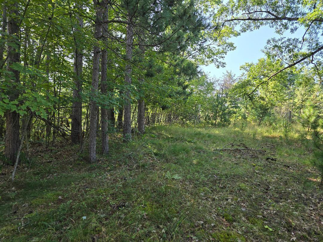 12457 Lake Emma Road Hawks, MI 49743 - Photo 1 of 16 Gallery Image 1