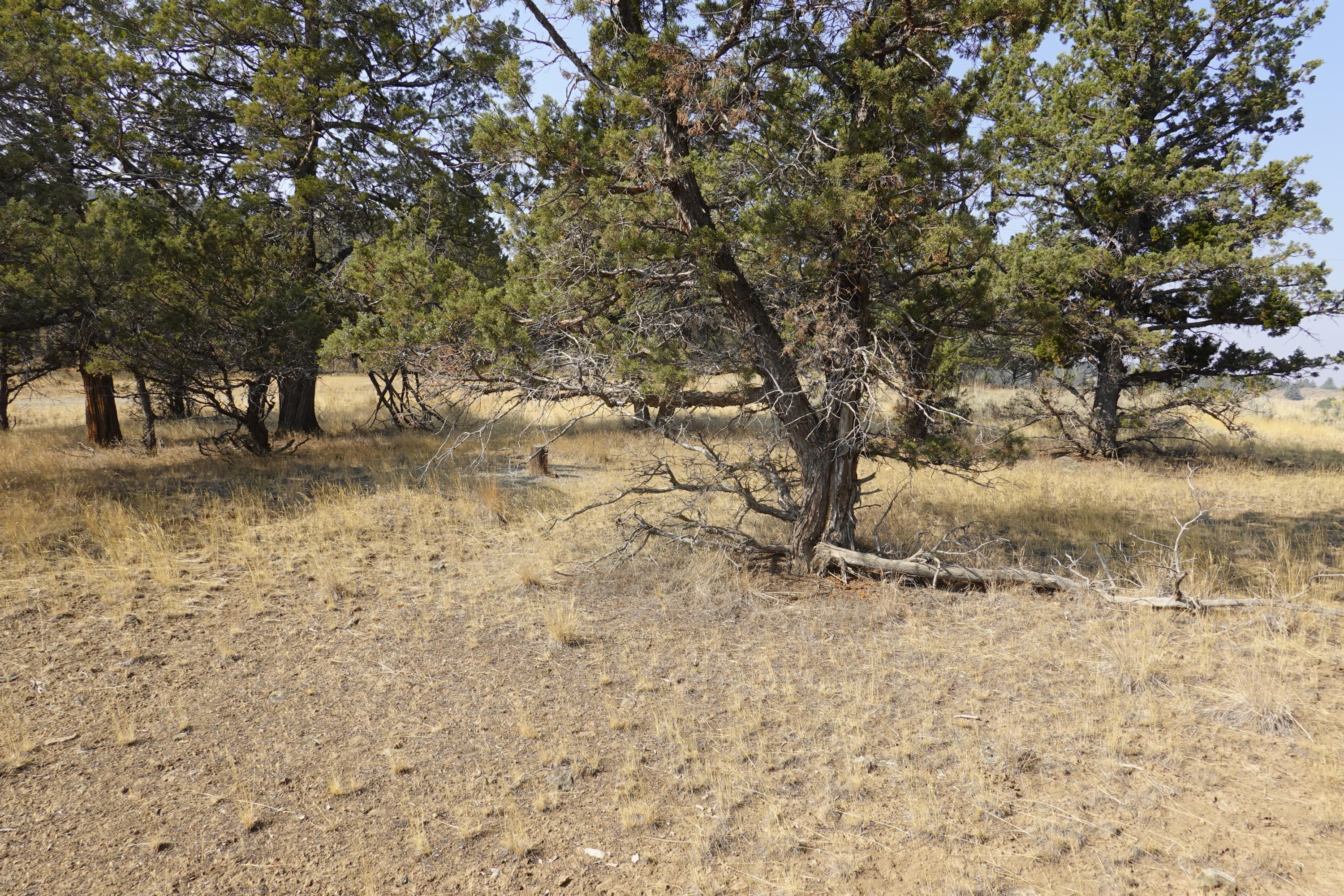 0 Southeast Dead End Road Prineville, OR 97754 - Photo 4 of 32 DSC00085