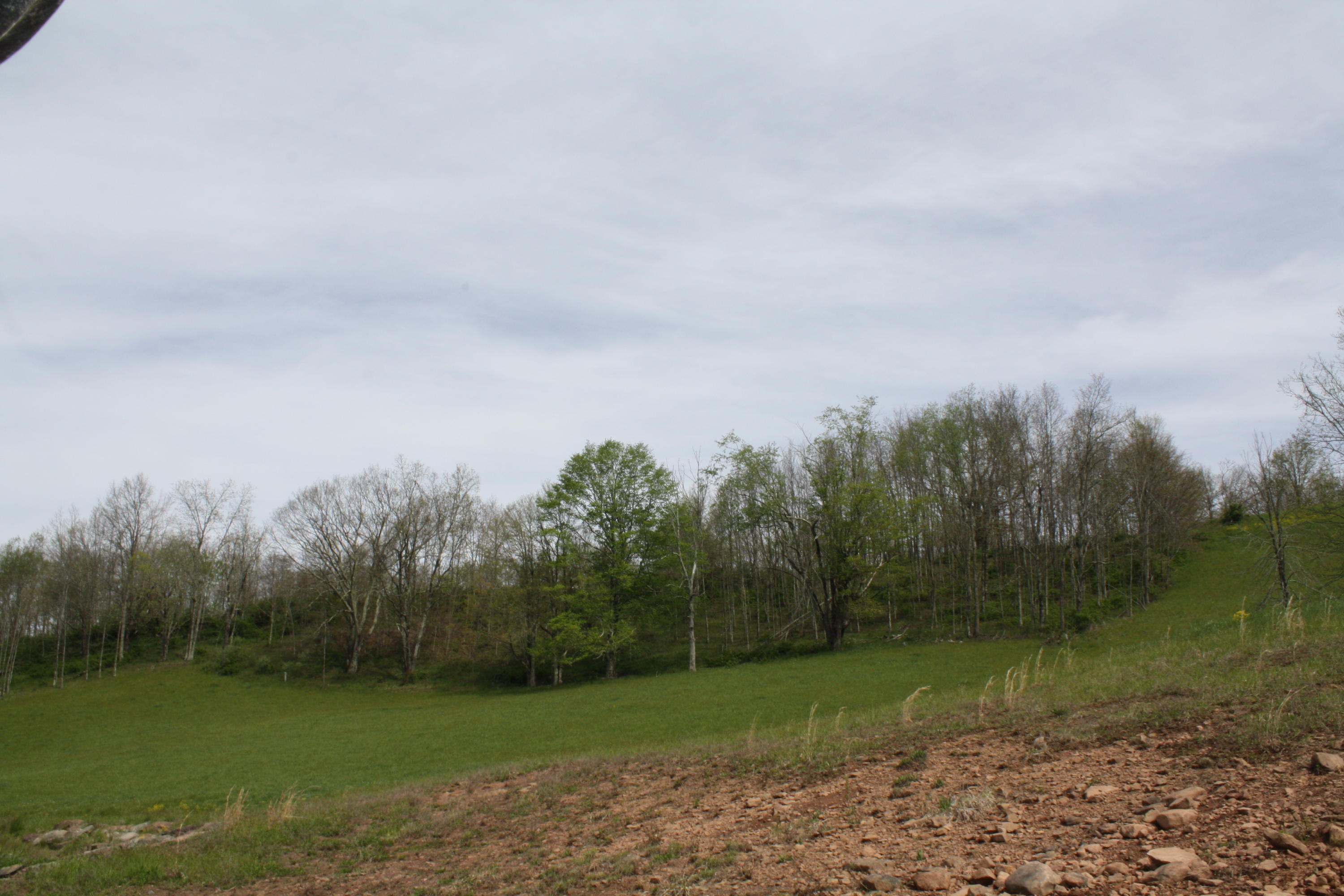 1161 Plumley Mountain Road Sandstone, WV 25985 - Photo 11 of 138 Gallery Image 11
