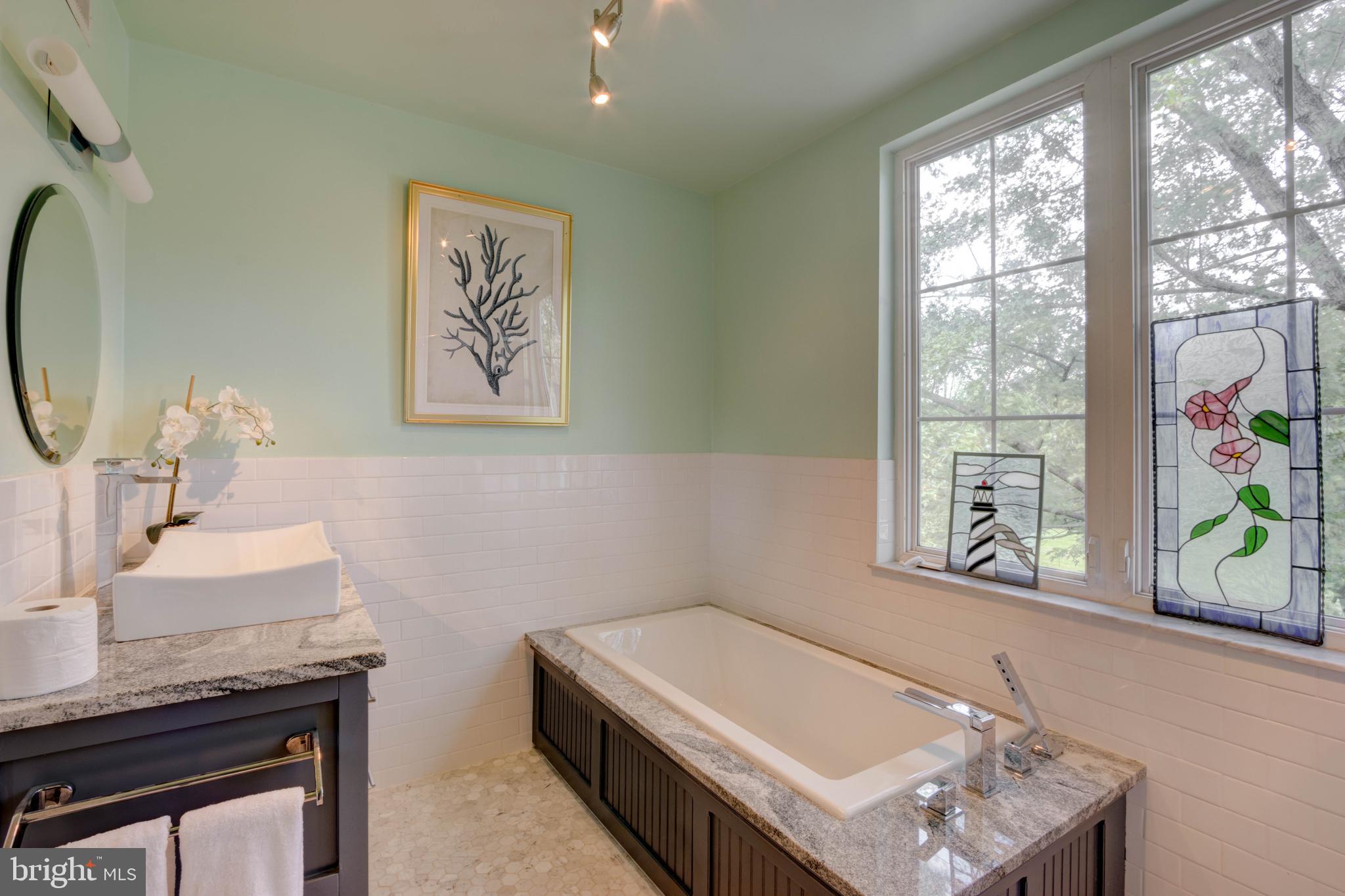 205 Aigburth Road Towson, MD 21286 - Photo 30 of 64 Primary Bath