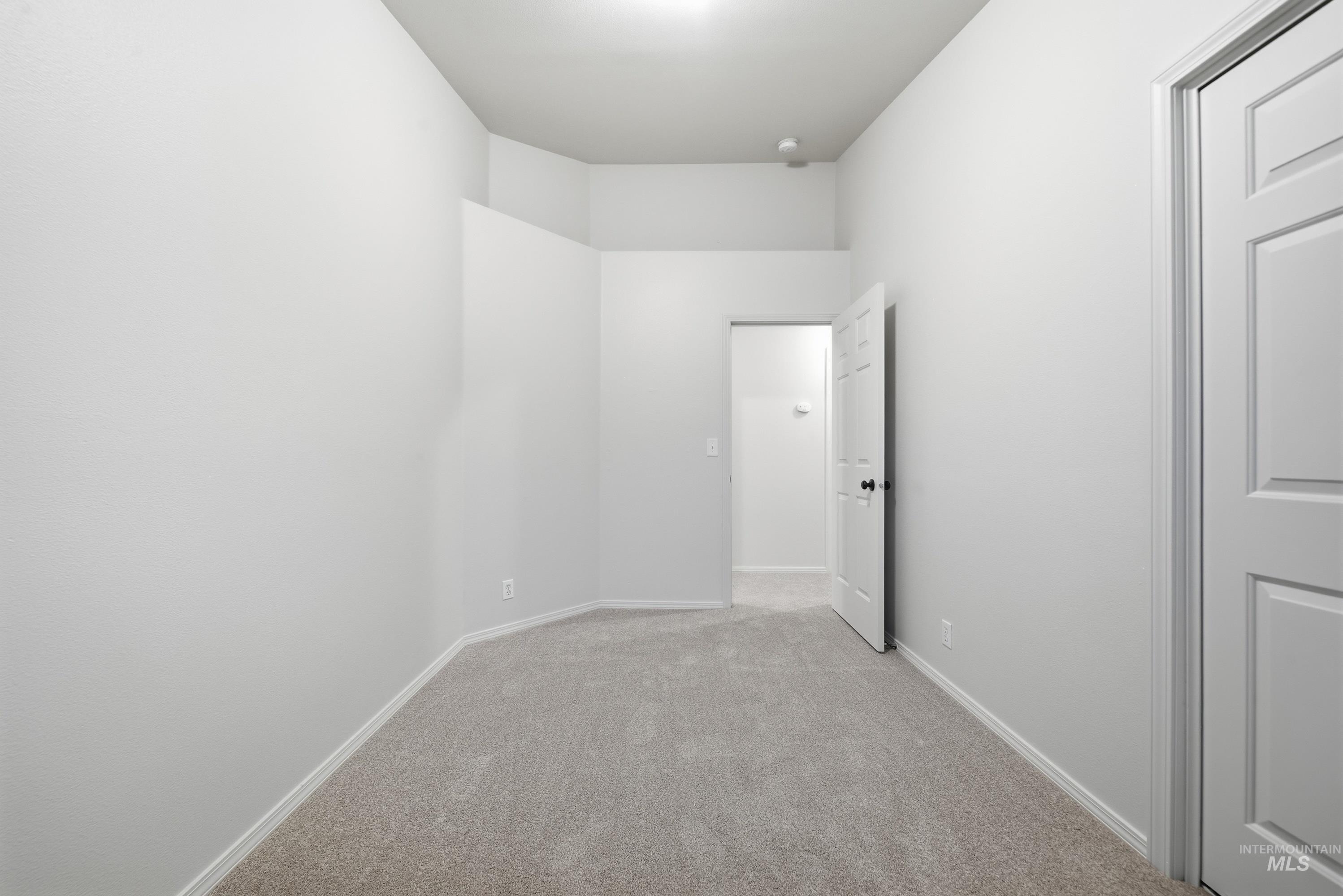 919 East Hawk Street Meridian, ID 83646 - Photo 19 of 31 Carpeted room with a paneled door, flush-mount lighting, and neutral wall finishes