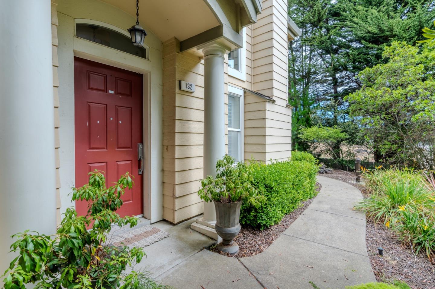 a potted plant sitting in front of a house