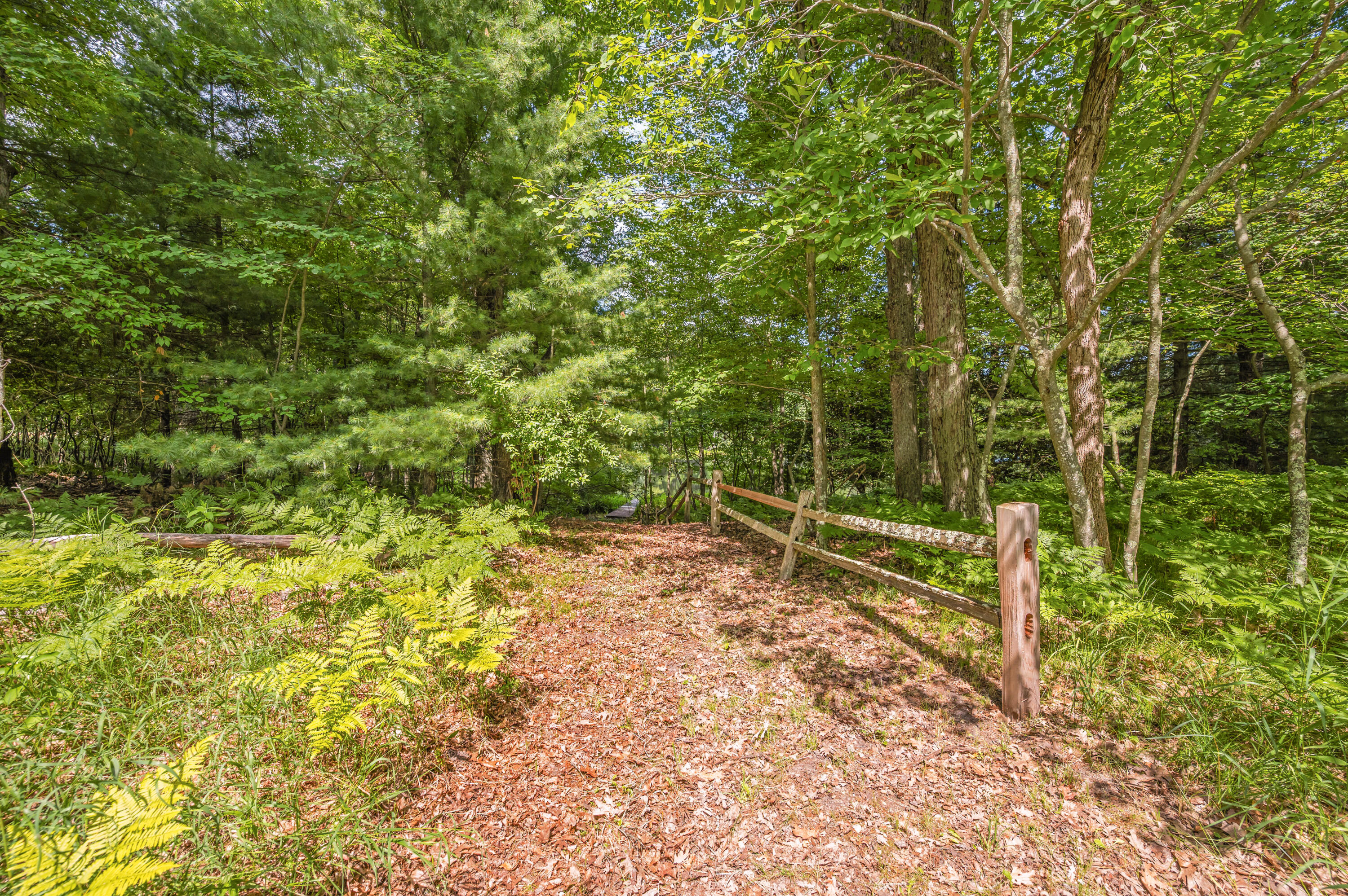 15 West 12 Mile Road Irons, MI 49644 - Photo 11 of 32 Lot15-12MileRd-Irons-18
