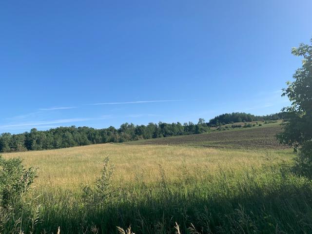 22707 23 Mile Road Paris, MI 49338 - Photo 1 of 6 IMG_6544