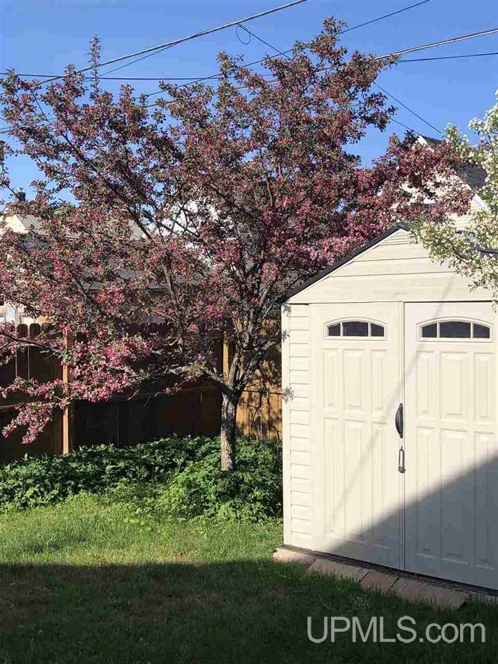 1204 North 2nd Street Ishpeming, MI 49849 - Photo 41 of 41