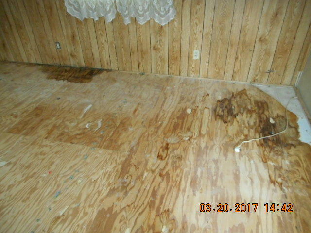 14853 Ravine Road Redding, CA 96003 - Photo 4 of 15 DSCN1533
