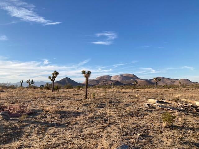 Sopp Rd Road Mojave, CA 93501 - Photo 4 of 5 Sopp Landcape