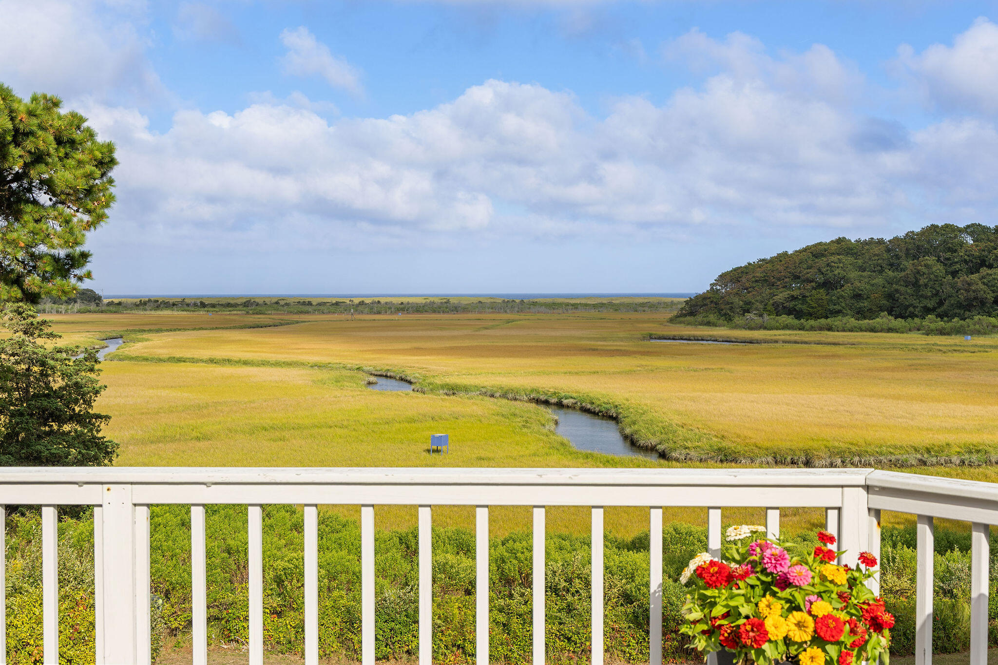 43 Old Duck Hole Road Orleans, MA 02653 - Photo 24 of 92 43OldDuckHoleRd-62