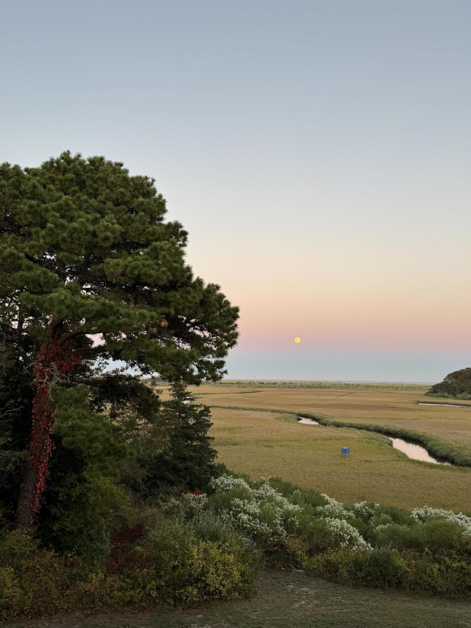 43 Old Duck Hole Road Orleans, MA 02653 - Photo 26 of 92 Marsh