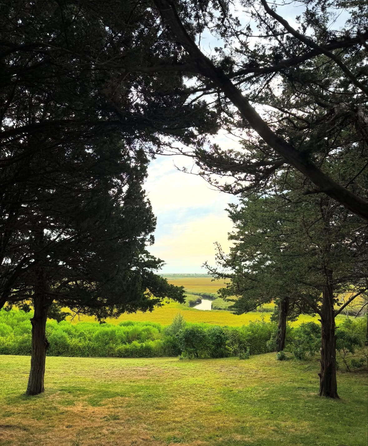 43 Old Duck Hole Road Orleans, MA 02653 - Photo 67 of 92 through the trees