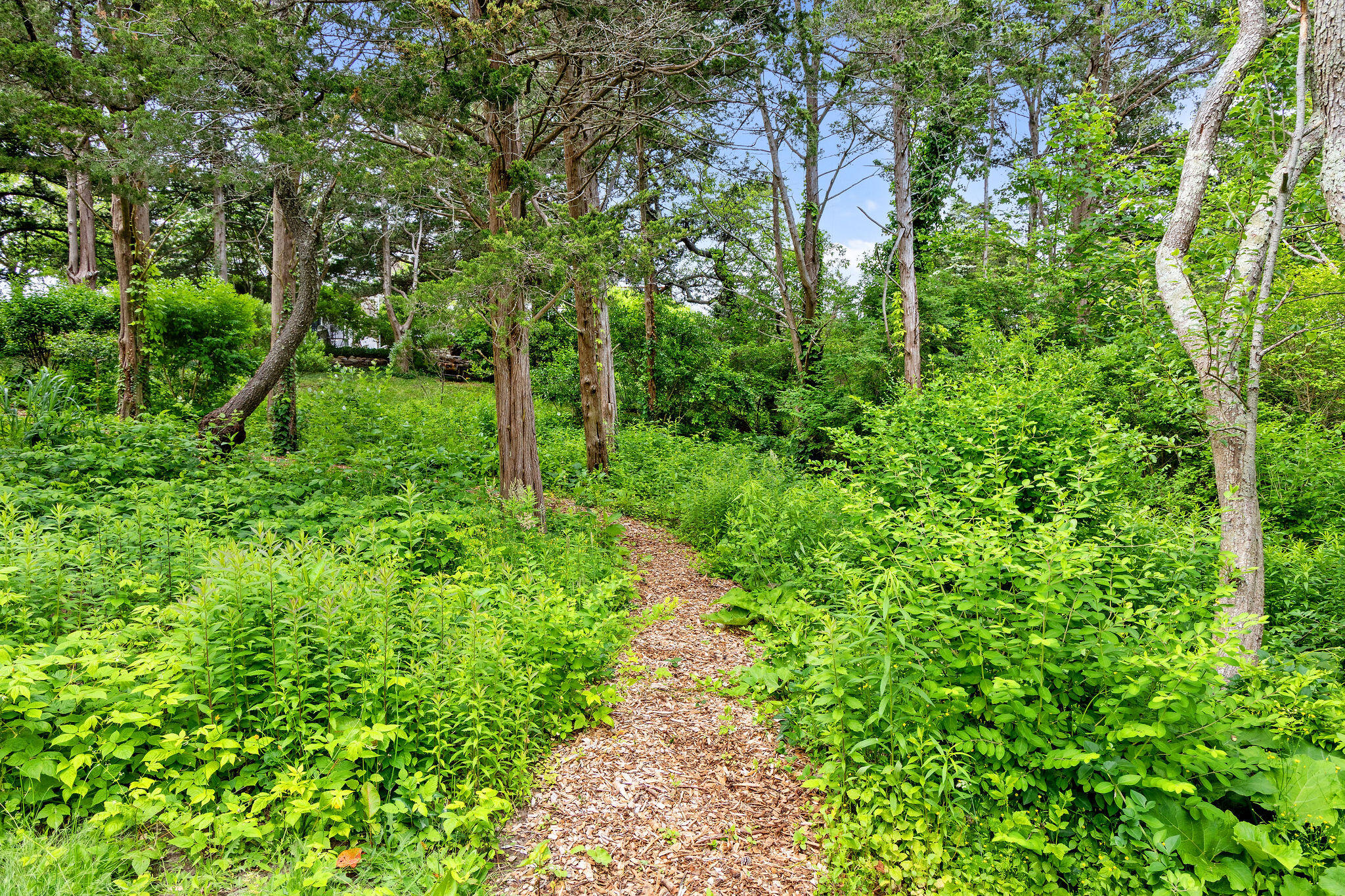 43 Old Duck Hole Road Orleans, MA 02653 - Photo 74 of 92 43OldDuckHoleRd-38