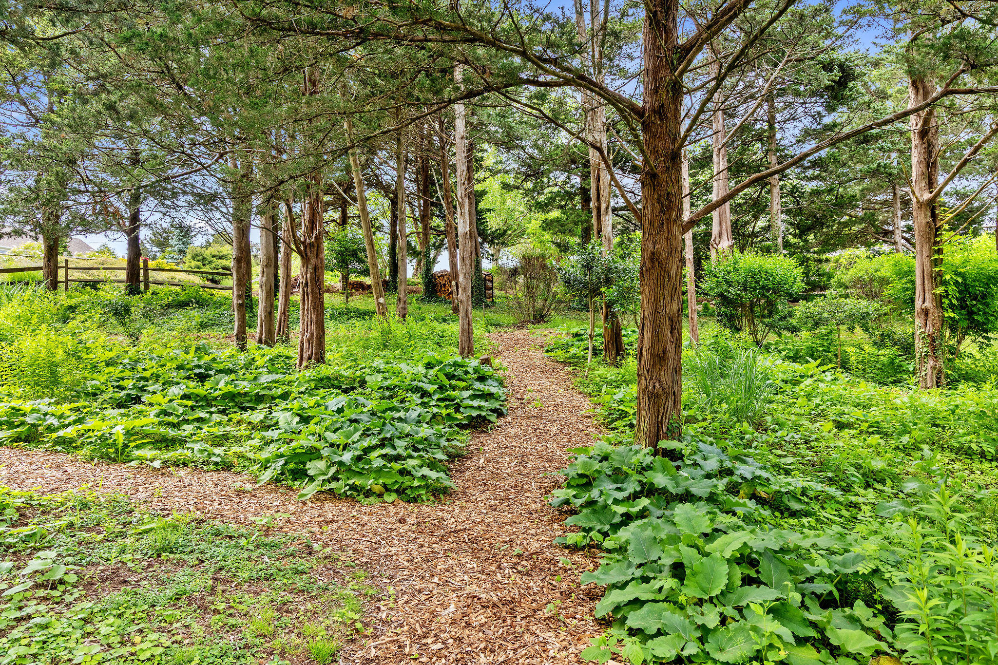 43 Old Duck Hole Road Orleans, MA 02653 - Photo 75 of 92 43OldDuckHoleRd-39