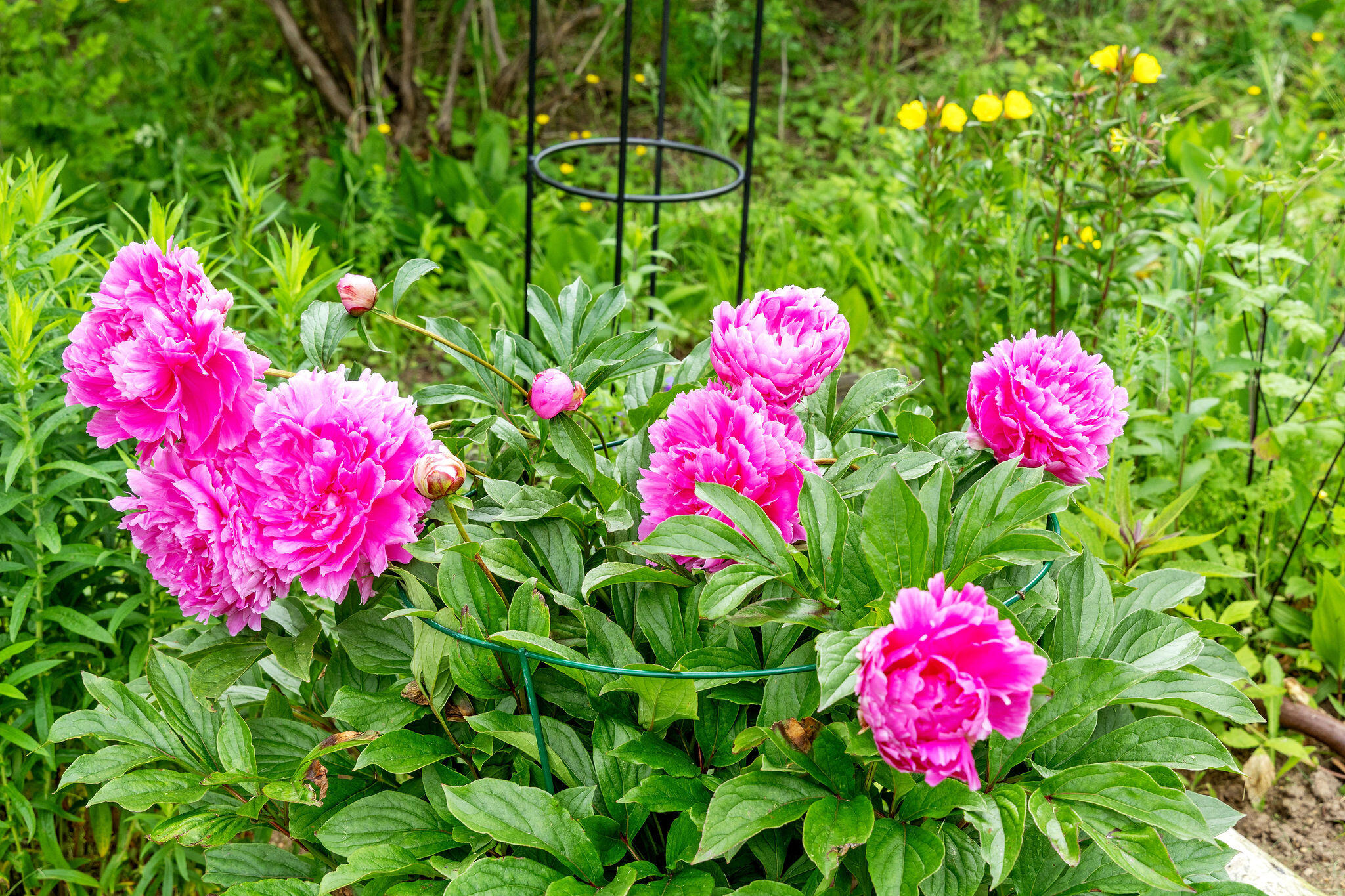 43 Old Duck Hole Road Orleans, MA 02653 - Photo 76 of 92 43OldDuckHoleRd-40