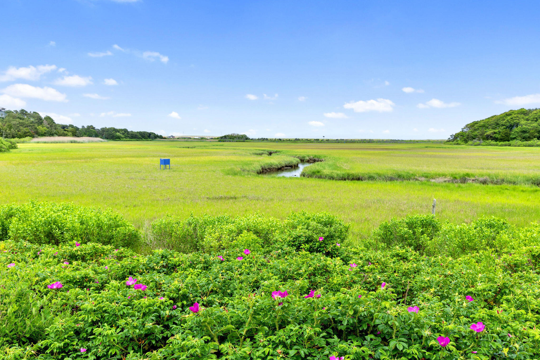 43 Old Duck Hole Road Orleans, MA 02653 - Photo 83 of 92 43OldDuckHoleRd-30