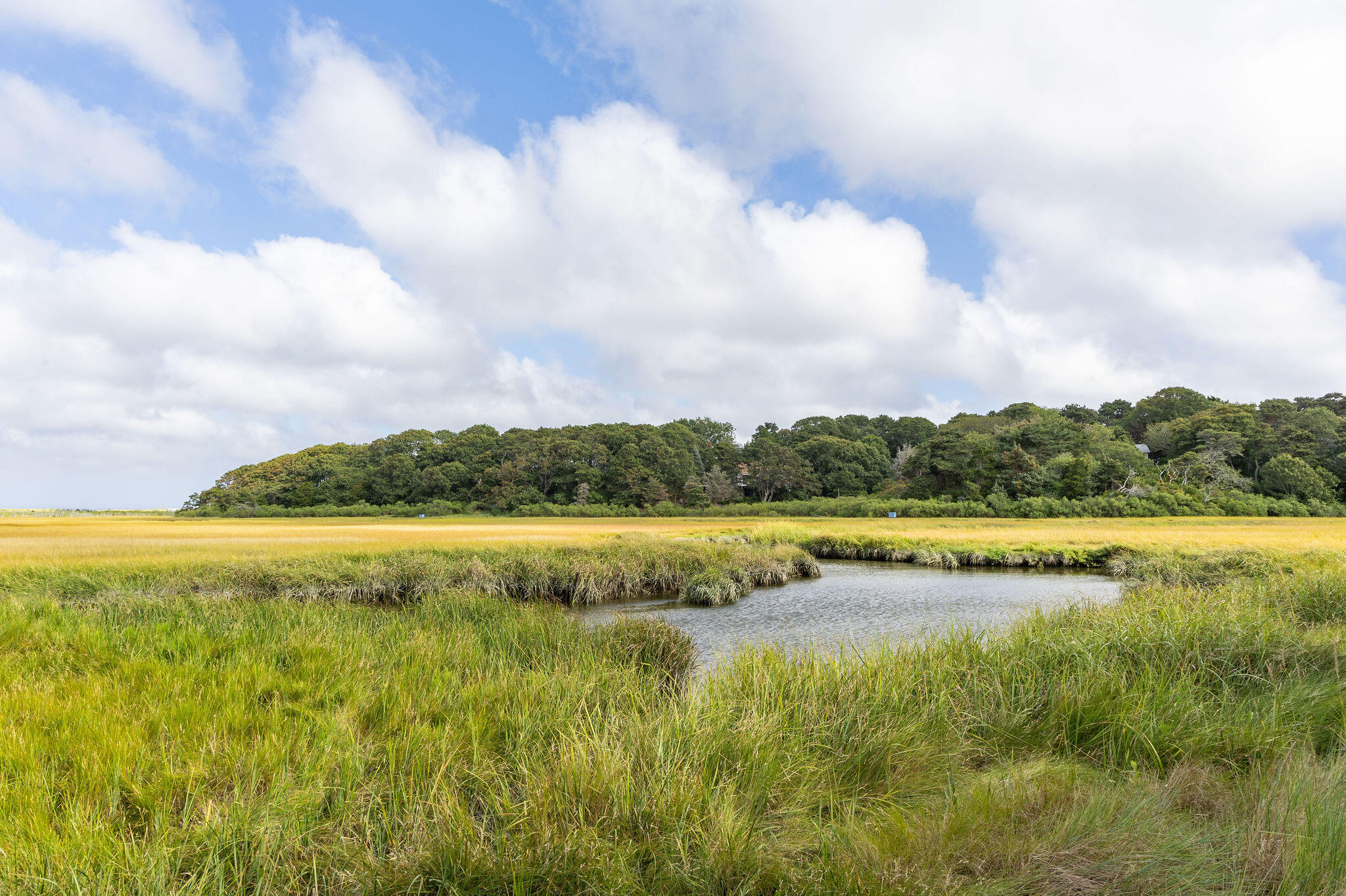 43 Old Duck Hole Road Orleans, MA 02653 - Photo 88 of 92 43OldDuckHoleRd-66