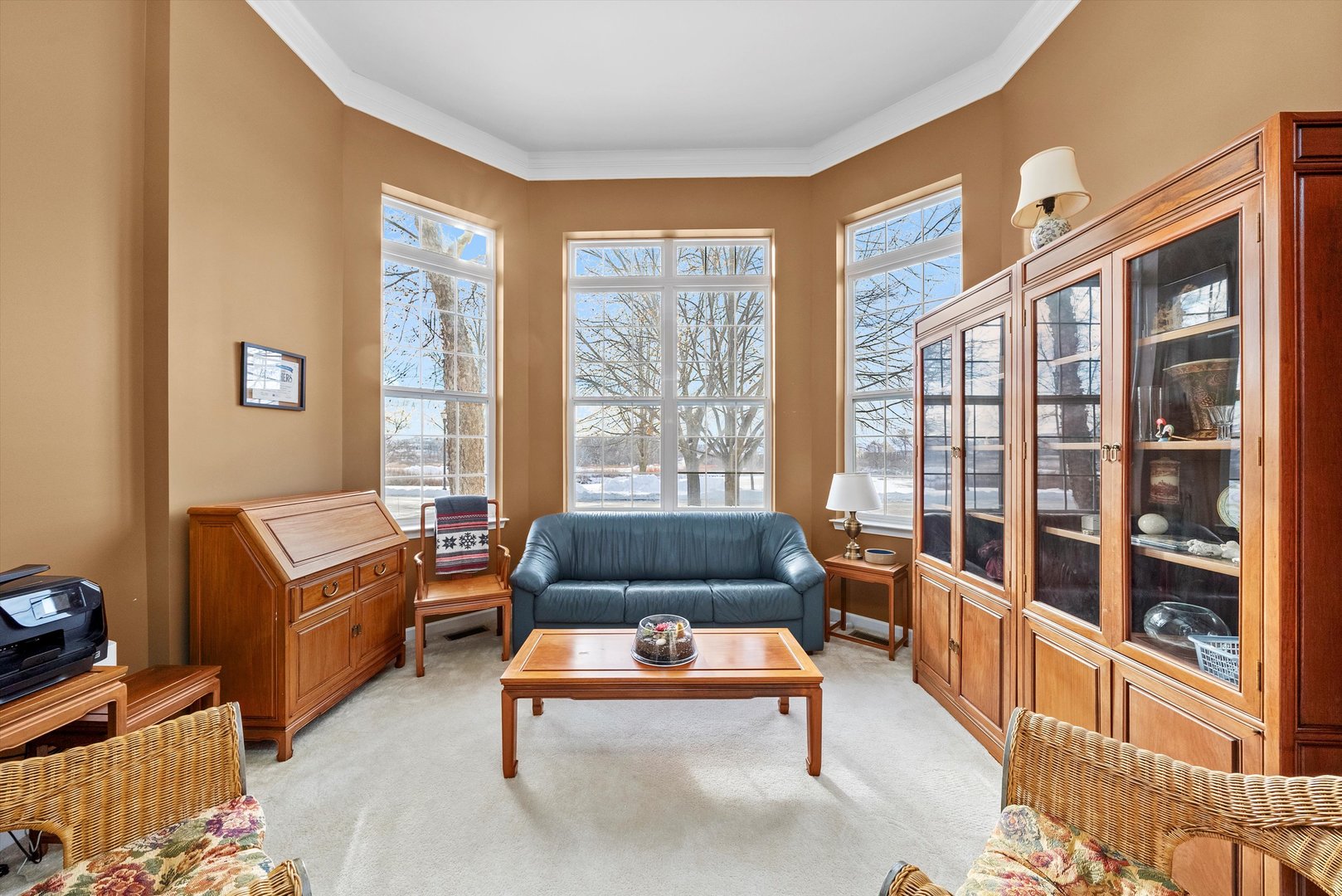 3858 Kingsmill Drive Elgin, IL 60124 - Photo 4 of 28